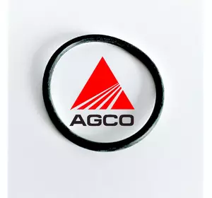 Кільце гумове F934201510290 Agco Parts