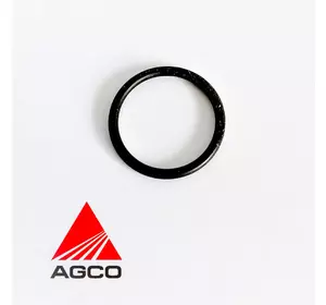 Кільце X548870566000 Agco Parts