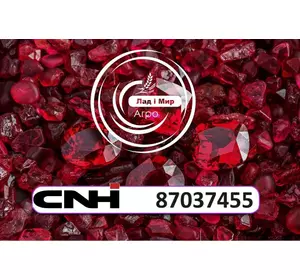 Кільце 87037455 до техніки CNH