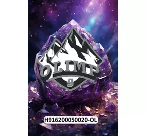 Радіатор водяний H916200050020-OL, H916200050020 від OLIMP9 до Fendt Радіатор водяний H916200050020-OL, H916200050020 від OLIMP9 до Fendt