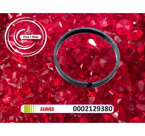 Ущільнення поршня 0002129380, 212938, 000212938, 212938.0, 212938 до Claas Ущільнення поршня 0002129380, 212938, 000212938, 212938.0, 212938 до Claas