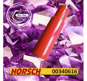 Електродвигун 00340616, 00340615 до техніки Horsch