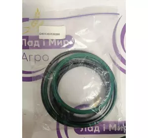 Ремкомплект ущільнень G931303120200 Fendt Ремкомплект ущільнень G931303120200 Fendt