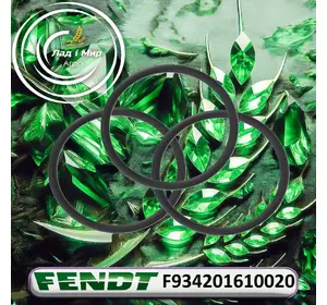 Кільце ущільнююче F934201610020 до техніки Fendt Кільце ущільнююче F934201610020 до техніки Fendt