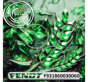 Ремкомплект гідроциліндра F931860030060 до Fendt Ремкомплект гідроциліндра F931860030060 до Fendt
