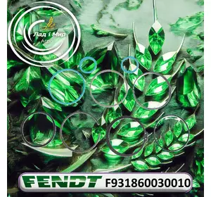 Ремкомплект циліндра навіски F931860030010 до техніки Fendt Ремкомплект циліндра навіски F931860030010 до техніки Fendt