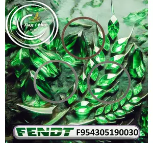 Комплект шайб регулюючих F954305190030 до техніки Fendt Комплект шайб регулюючих F954305190030 до техніки Fendt