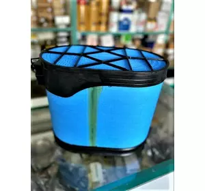 Фільтр повітряний F954200091010 Agco Parts Фільтр повітряний F954200091010 Agco Parts