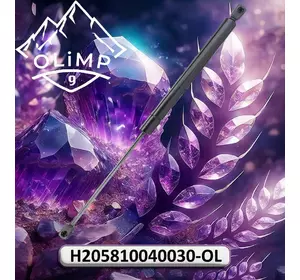 Амортизатор H205810040030-OL, H205810040030 до техніки Fendt Амортизатор H205810040030-OL, H205810040030 до техніки Fendt