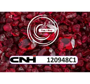 Шайба 120948C1 до техніки CNH