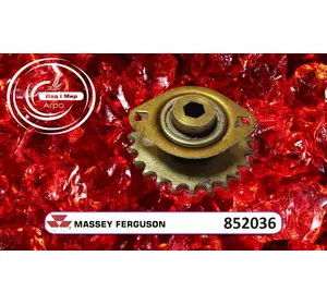 Зірочка муфти Z=24 852036 до техніки Massey Ferguson, FENDT, Challenger, Agco Parts