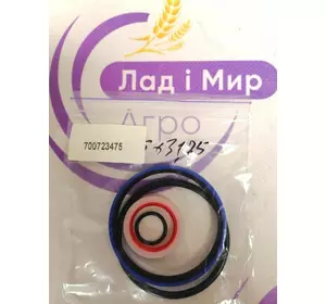 Рем.комплект 700723475 Massey Ferguson ,Challenger Рем.комплект 700723475 Massey Ferguson ,Challenger
