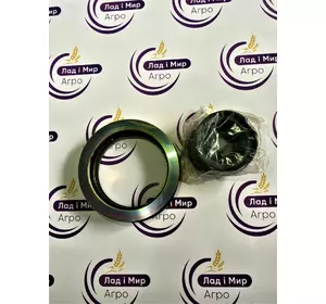 Комплект для рульового циліндру G931303120310 Agco Parts Комплект для рульового циліндру G931303120310 Agco Parts