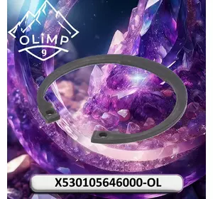 Кільце стопорне X530105646000-OL, X530105646000 до техніки John Deere Кільце стопорне X530105646000-OL, X530105646000 до техніки John Deere