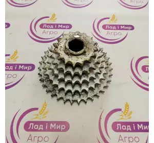 Зірочка P59591 Will-Rich, Amity Зірочка P59591 Will-Rich, Amity