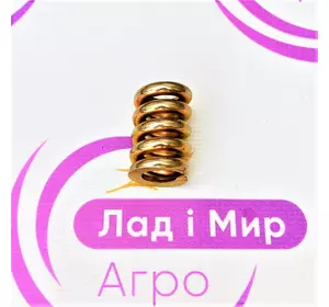 Пружина Ступиці 0008004441, 8004441, 000800444.1, 800444.1 Claas Пружина Ступиці 0008004441, 8004441, 000800444.1, 800444.1 Claas