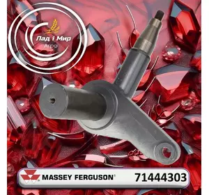 Кулак поворотний 71444303, 71400698 до Massey Ferguson Кулак поворотний 71444303, 71400698 до Massey Ferguson