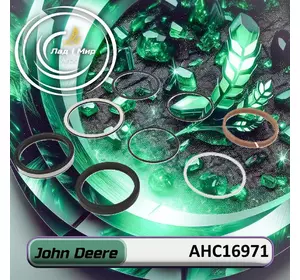 Ремкомплект гідроциліндра AHC16971, AH176414 до техніки John Deere Ремкомплект гідроциліндра AHC16971, AH176414 до техніки John Deere