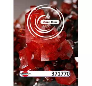 Форсунка F-06-110 сіра 371770 до техніки Hardi Форсунка F-06-110 сіра 371770 до техніки Hardi