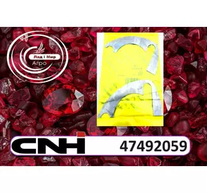 Комплект прокладок до 47492059 Case, New Holland від CNH