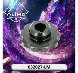 Зірочка 032027-LM, 032027 до жаток Gerringoff Зірочка 032027-LM, 032027 до жаток Gerringoff