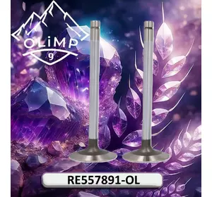 Клапан випускний RE557891-OL, RE557891, R502370 до John Deere Клапан випускний RE557891-OL, RE557891, R502370 до John Deere