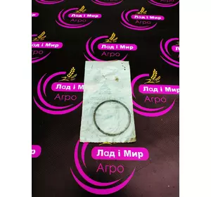 Кільце випускного колектора F934201100020 Agco Parts Кільце випускного колектора F934201100020 Agco Parts