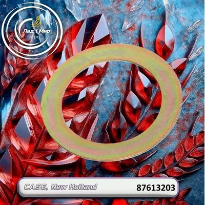 Шайба 87613203 до техніки Case, New Holland