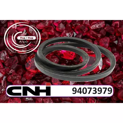 Пас 94073979 до Case, New Holland