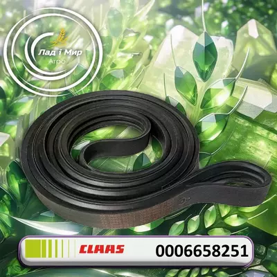 Ремінь 0006658251, 000665825.1, 6658251, 000665825, 665825, 0006659670, AP1005206 до Claas