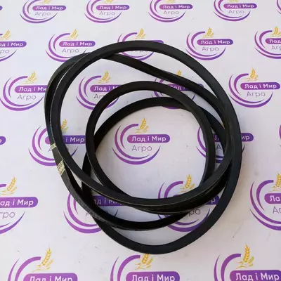 Пас Привідний D41941900, 2501256 Massey Ferguson