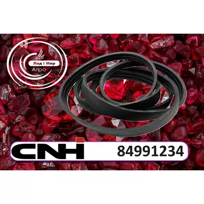 Пас 84991234 до Case, New Holland