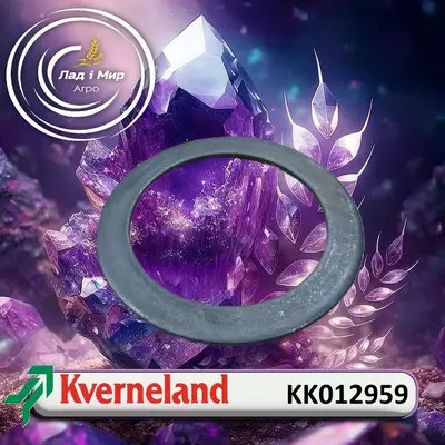 Шайба KK012959 до Kverneland