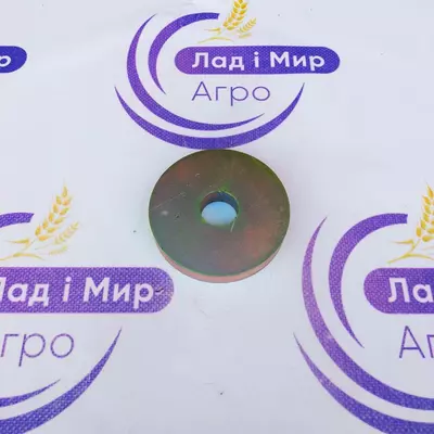 Шайба 06220844 до техніки CNH