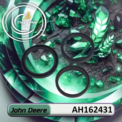 Комплект ущільнень AH162431 до техніки John Deere